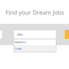Job Board Manager - Search 8