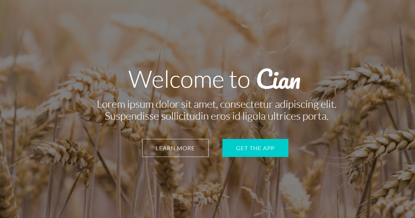  Cian – App Landing Page WordPress